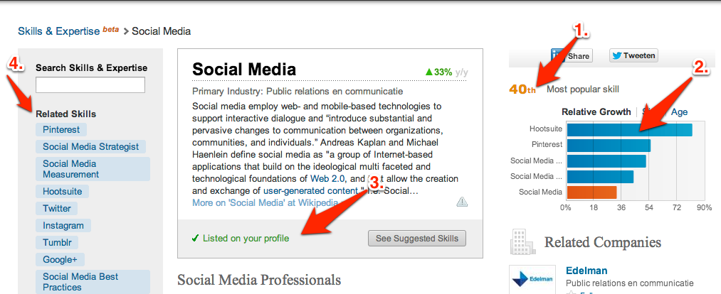 Miniportal LinkedIn Endorsement